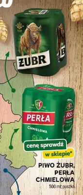 Piwo Żubr 4-pak promocja w Stokrotka