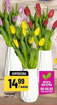 Tulipany bukiet 7 szt. promocja w POLOmarket