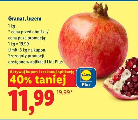 Granat luzem promocja w Lidl