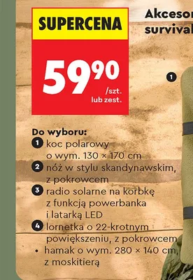 Hamak z moskitierą, 280x140 cm promocja w Biedronka