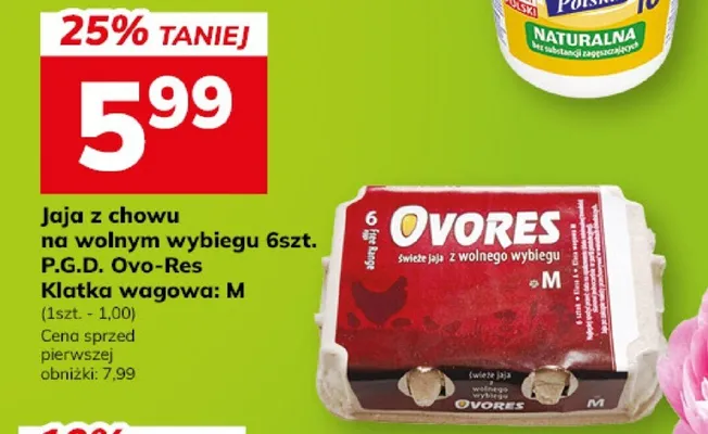 Jaja z chowu na wolnym wybiegu Klatka wagowa: M promocja w Hitpol