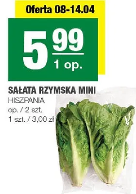 Sałata rzymska mini promocja w SPAR