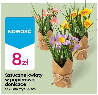Sztuczne kwiaty w papierowej doniczce promocja w Pepco