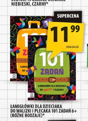 Łamigłówki dla dzieciaka do walizki i plecaka 101 zadań 6+ promocja w Arhelan