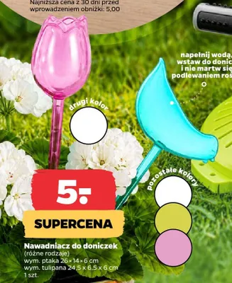 Nawadniacz do doniczek promocja w Netto