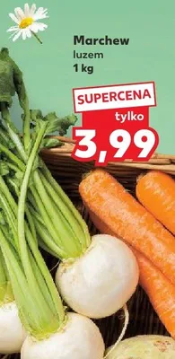 Marchew luzem promocja w Kaufland