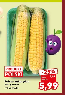 Kukurydza polska promocja w Kaufland