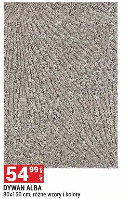 Dywan Alba 80x150cm promocja w Merkury Market