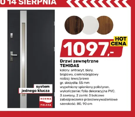 Drzwi zewnętrzne Temidas promocja w Bricomarche