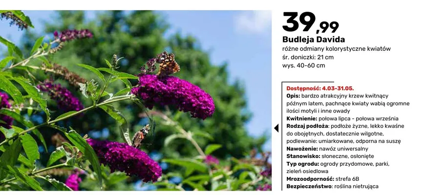 Katalog ogród, strona 51 promocja w Bricomarche