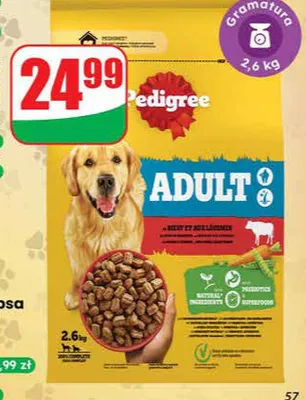 Sucha karma dla psa Adult promocja w Dino