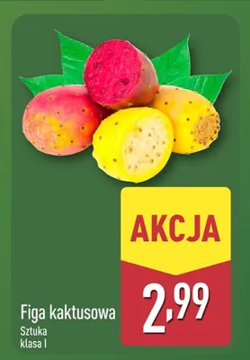 Figa kaktusowa promocja w Aldi