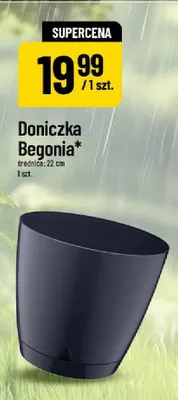 Doniczka Begonia 22 cm promocja w POLOmarket