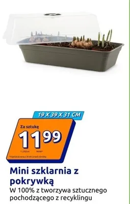 Mini szklarnia z pokrywką 19 x 39 x 31 cm promocja w Action