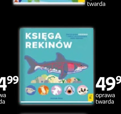 Książka Księga rekinów oprawa twarda promocja w Empik