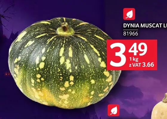 Dynia muscat promocja w Selgros