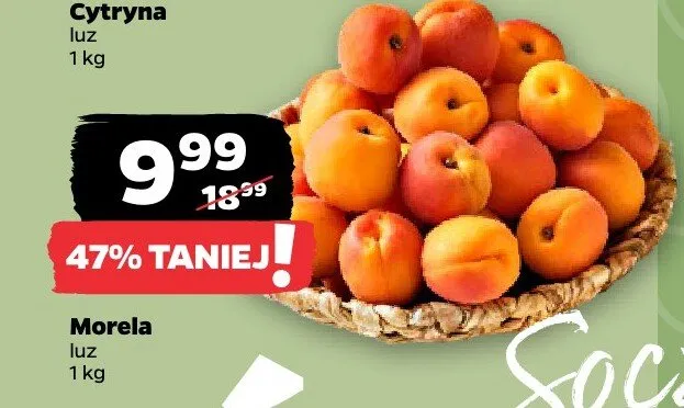 Morela promocja w Netto