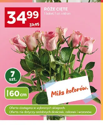 Róże cięte 60cm promocja w Stokrotka