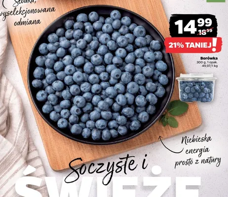 Borówka, 300 g promocja w Netto
