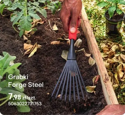 Grabki promocja w Castorama