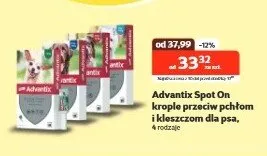 Krople przeciw pchłom i kleszczom dla psa - cena od: promocja w KAKADU