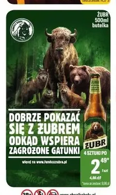 Piwo Żubr promocja w Tomi Markt
