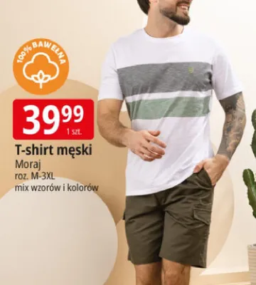 T-shirt męski Moraj 100% bawełna roz. M-3XL mix wzorów i kolorów promocja w Leclerc