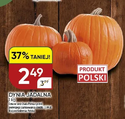 Dynia jadalna promocja w Chata Polska