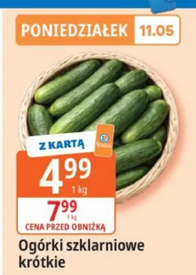 Ogórki szklarniowe krótkie promocja w Leclerc