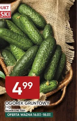 Ogórek gruntowy polski promocja w Chata Polska