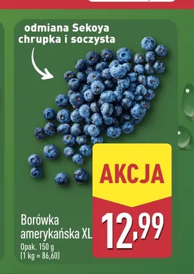 Borówka amerykańska XL promocja w Aldi