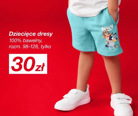 Dziecięce dresy Bluey 100% bawełny rozm. 98-128 promocja w KiK