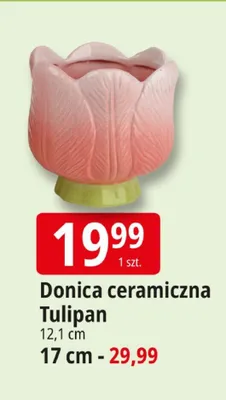 Donica ceramiczna Tulipan promocja w Leclerc