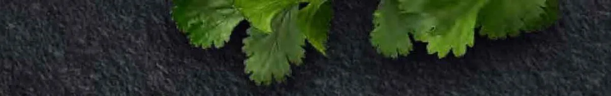 Hity na start, strona 10 promocja w Stokrotka