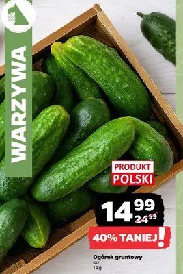 Ogórek gruntowy luz promocja w Netto
