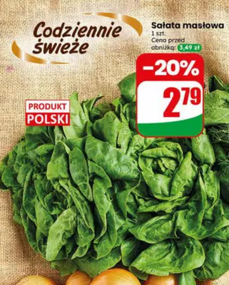 Sałata masłowa polska promocja w Dino