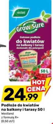 Podłoże do kwiatów na balkony i tarasy promocja w Bricomarche