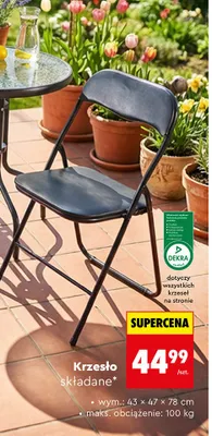 Krzesło składane promocja w Biedronka