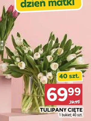 Tulipany cięte promocja w Stokrotka