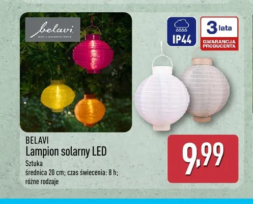 Lampion solarny LED BELAVI 20cm promocja w Aldi