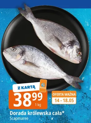 Dorada królewska cała Scapmaree promocja w Leclerc