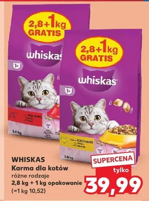 Karma dla kotów Whiskas sucha promocja w Kaufland