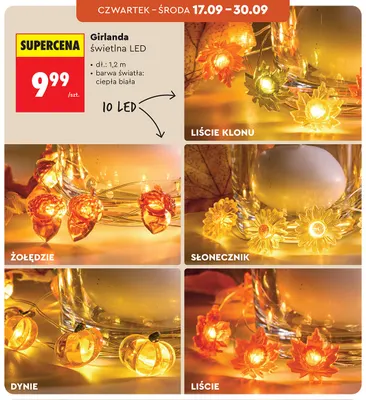 Girlanda świetlna LED promocja w Biedronka