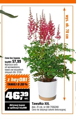 Tawułka XXL don. 21cm promocja w OBI