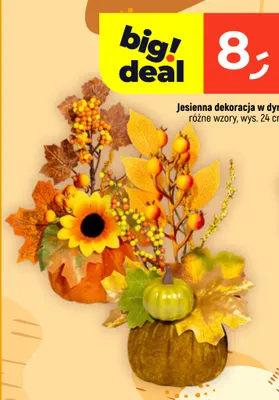 Jesienna dekoracja w dyni promocja w Dealz