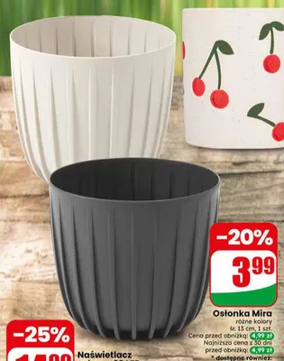 Osłonka Mira promocja w Dino