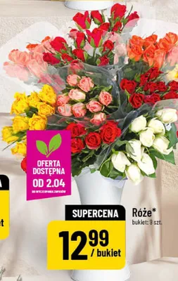 Róże promocja w POLOmarket