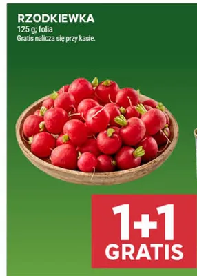 Rzodkiewka promocja w Stokrotka