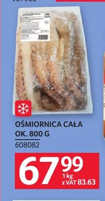 Ośmiornica cała promocja w Selgros