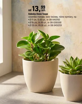 Doniczka Stone Taupe ceramika matowa, kolor beżowy, różne rozmiary promocja w OBI